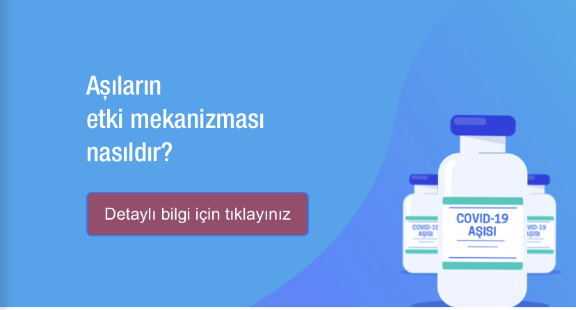 Aşılar nasıl etkiler?